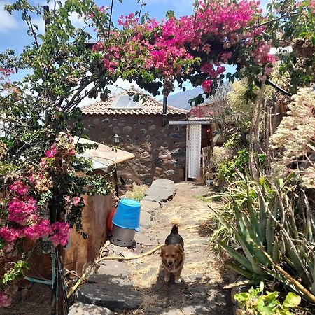 Bed and Breakfast Abracaribes à Arecida Extérieur photo