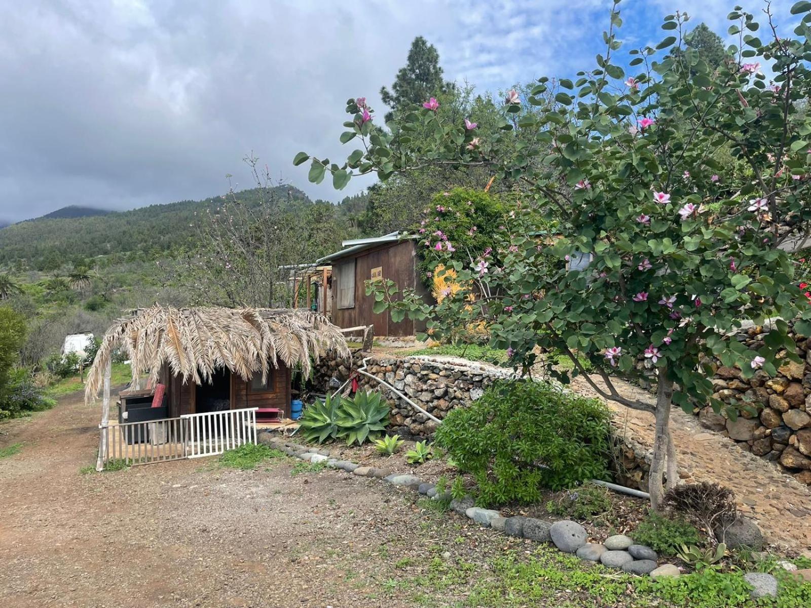 Bed and Breakfast Abracaribes à Arecida Extérieur photo